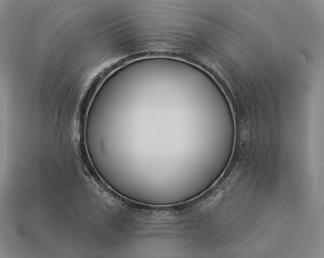 X0000112940979200909071051