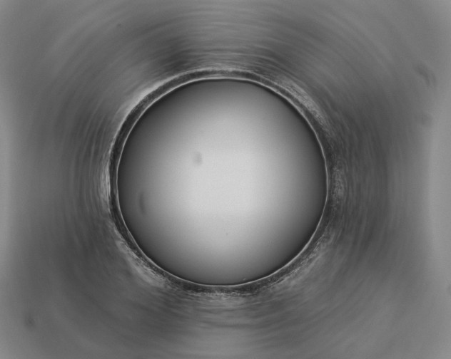 X0000112940980200909071051