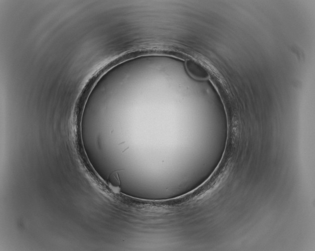 X0000112940981200909071051