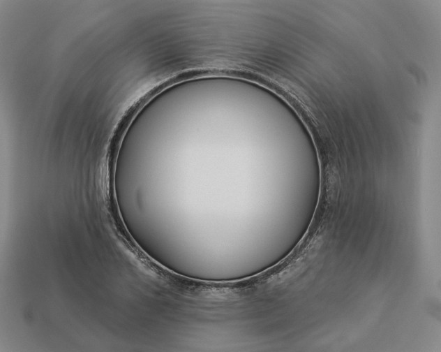 X0000112940982200909071051