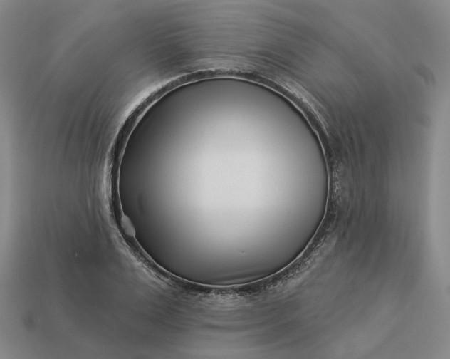 X0000112940983200909071051