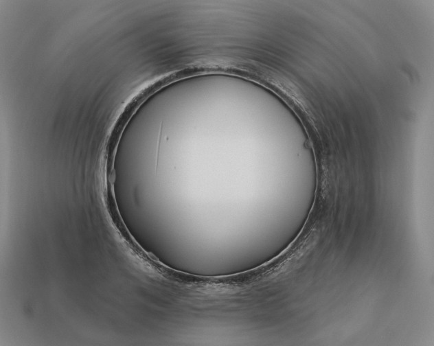 X0000112940984200909071051