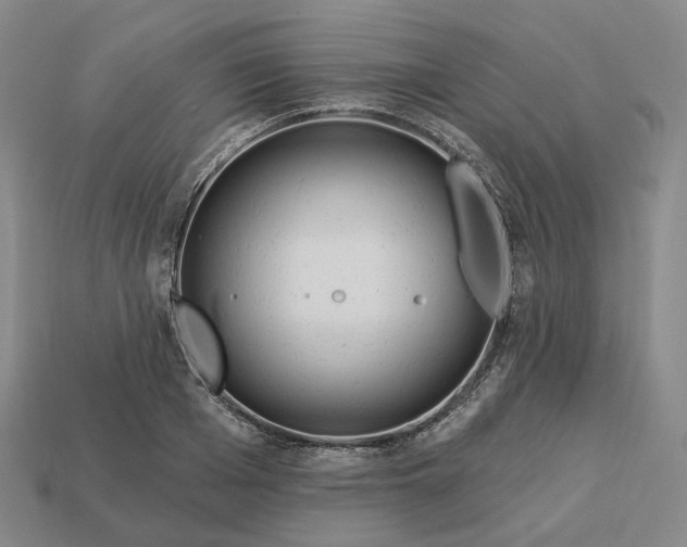 X0000112940985200909071051