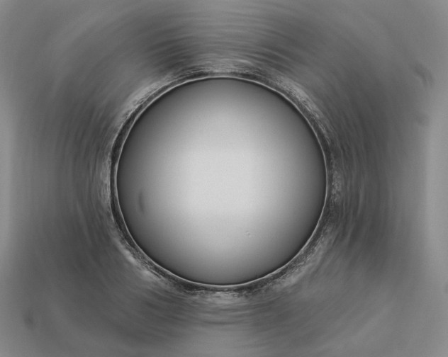 X0000112940986200909071051