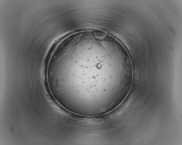 X0000112940987200909071051