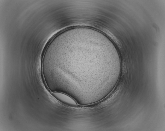 X0000112940988200909071051