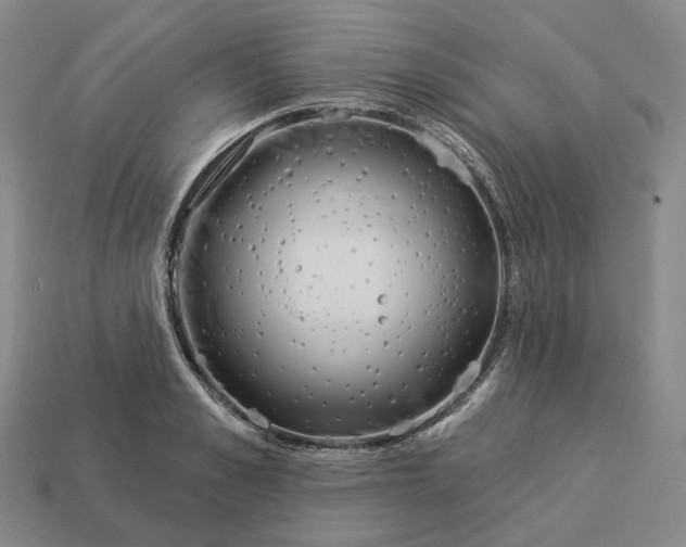 X0000112940989200909071051