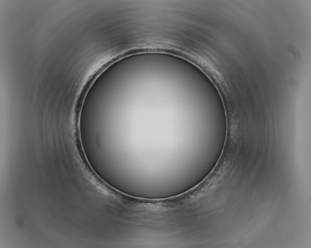 X0000112940990200909071051