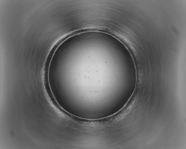 X0000112940991200909071051