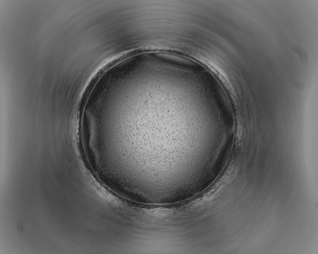 X0000112940992200909071051