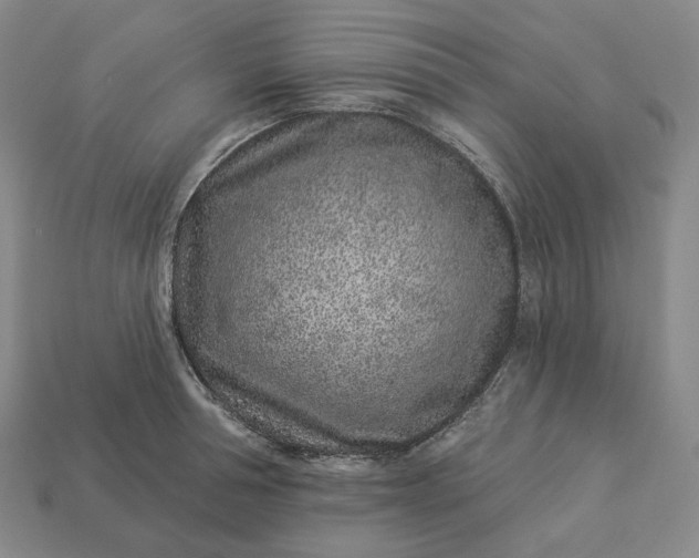 X0000112940994200909071051