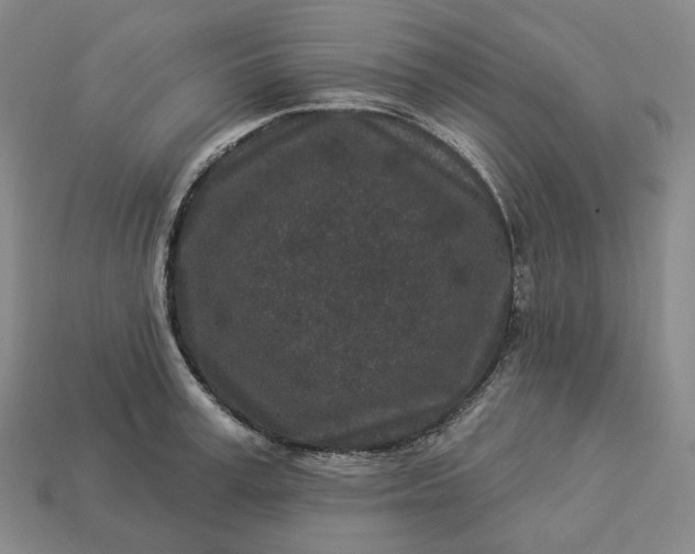 X0000112940995200909071051