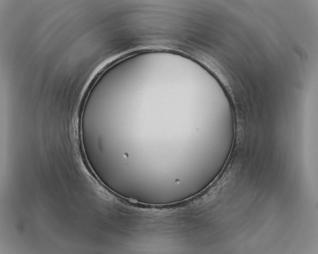 X0000112940996200909071051