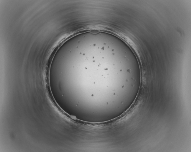 X0000112940997200909071051