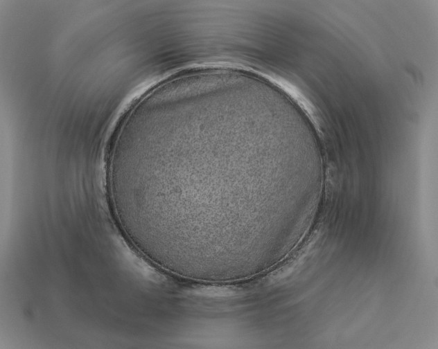 X0000112940998200909071051