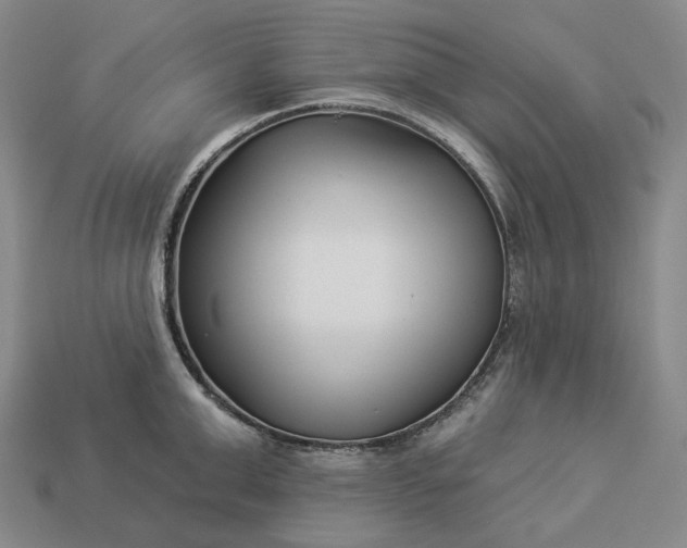 X0000112940999200909071051