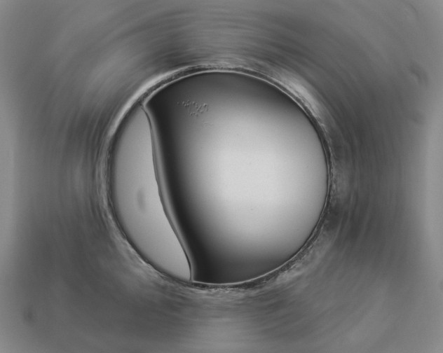 X0000112941000200909071051