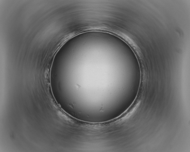 X0000112941001200909071051