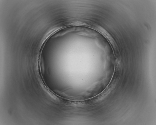 X0000112941002200909071051