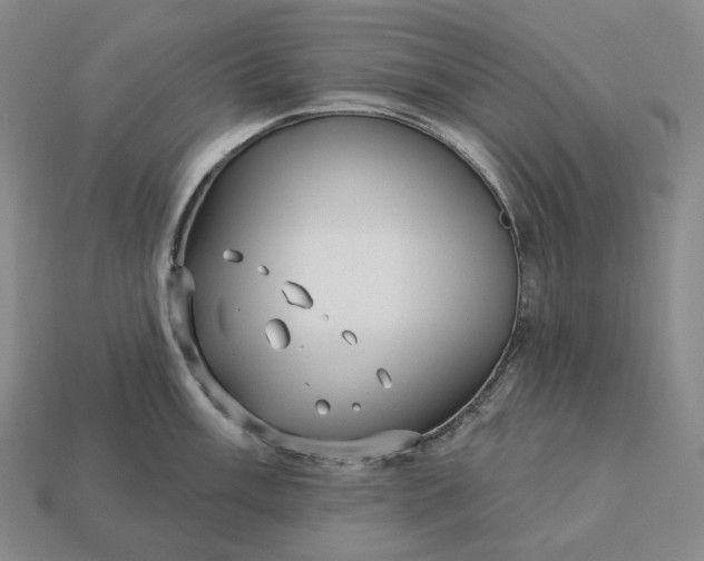 X0000112941003200909071051