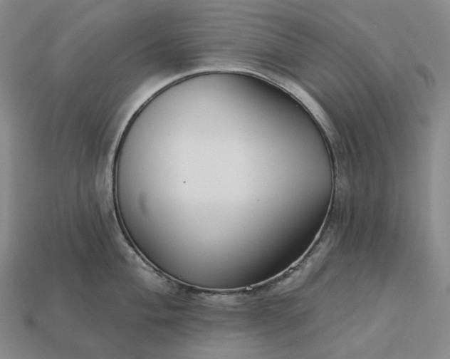 X0000112941004200909071051