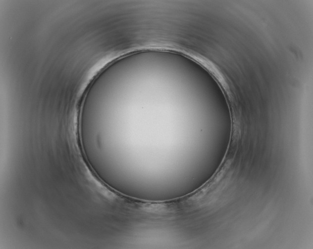 X0000112941006200909071050