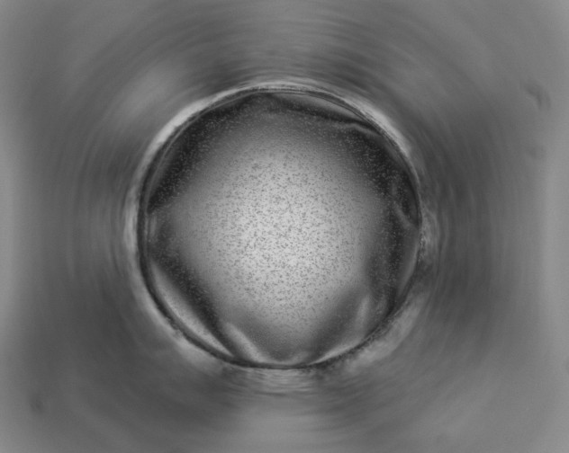 X0000112941007200909071050