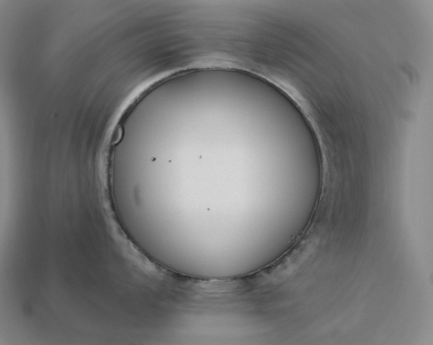 X0000112941008200909071050