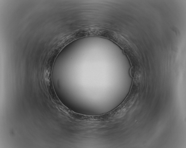 X0000112941010200909071050