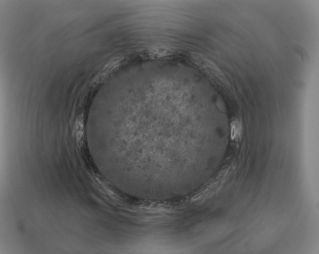 X0000112941011200909071050