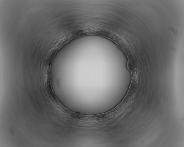 X0000112941012200909071050