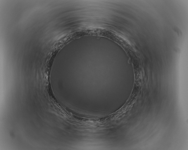 X0000112941013200909071050