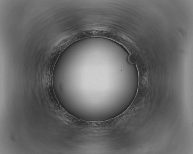 X0000112941014200909071050