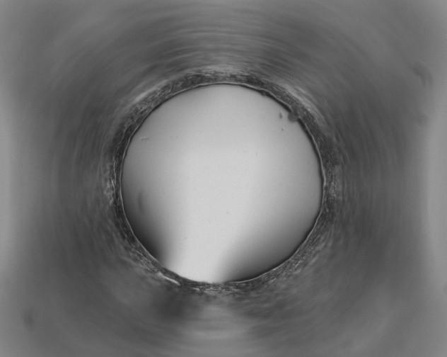 X0000112941015200909071050