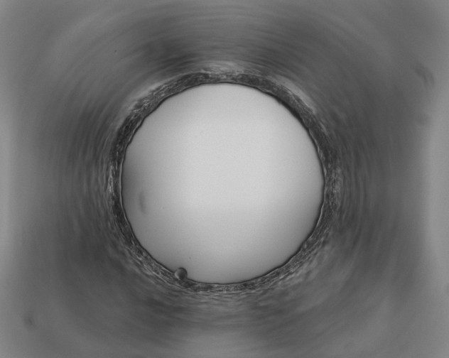 X0000112941016200909071050