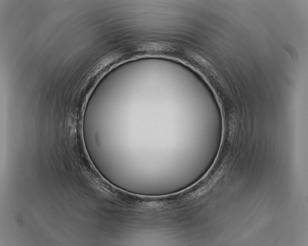 X0000112941017200909071050