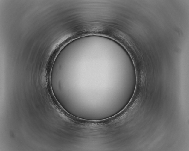 X0000112941018200909071050