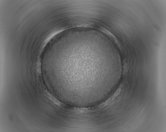 X0000112941019200909071050