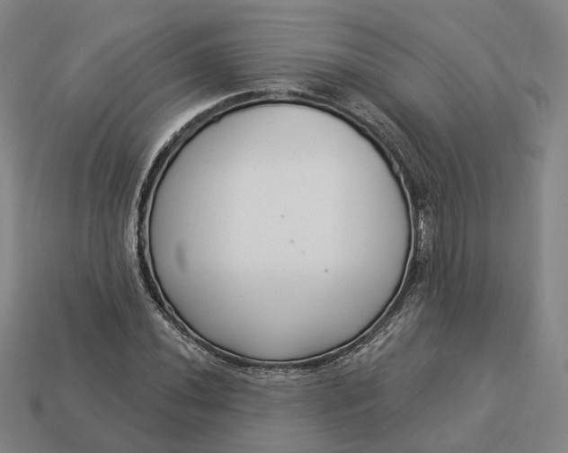 X0000112941020200909071050