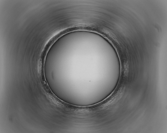 X0000112941021200909071050