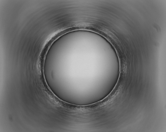 X0000112941022200909071050