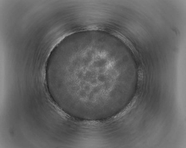 X0000112941023200909071050