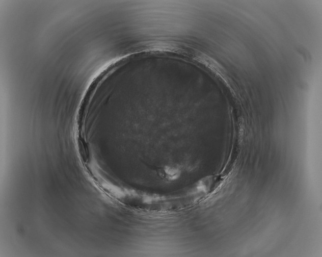 X0000112941024200909071050