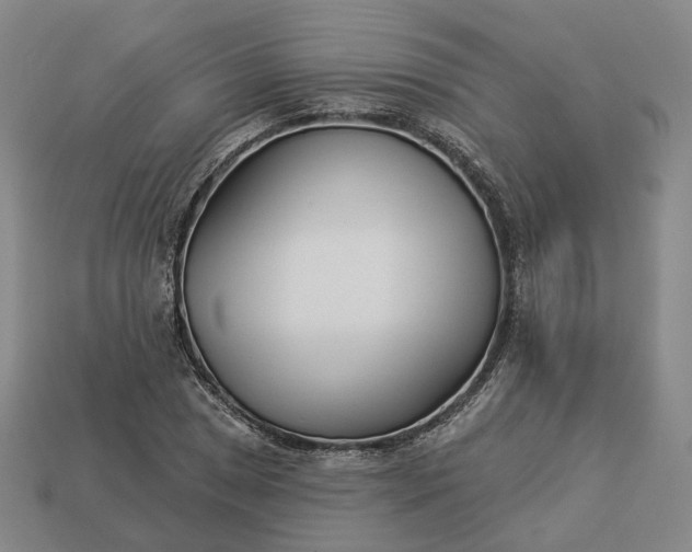 X0000112941025200909071050