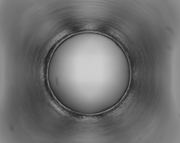 X0000112941026200909071050