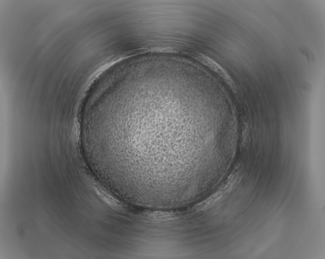 X0000112941027200909071050