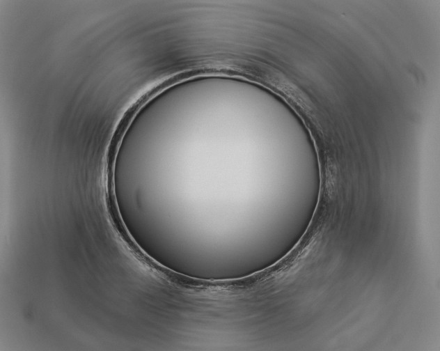 X0000112941028200909071050