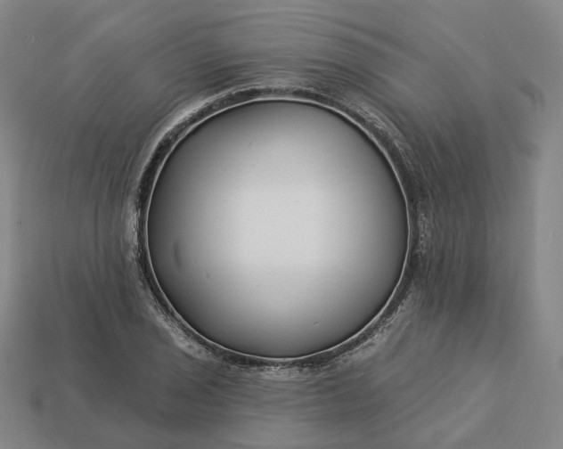 X0000112941029200909071050