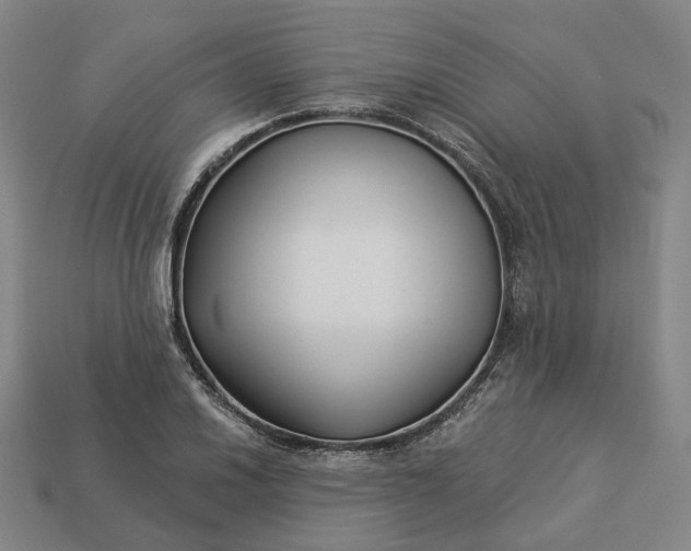 X0000112941030200909071050