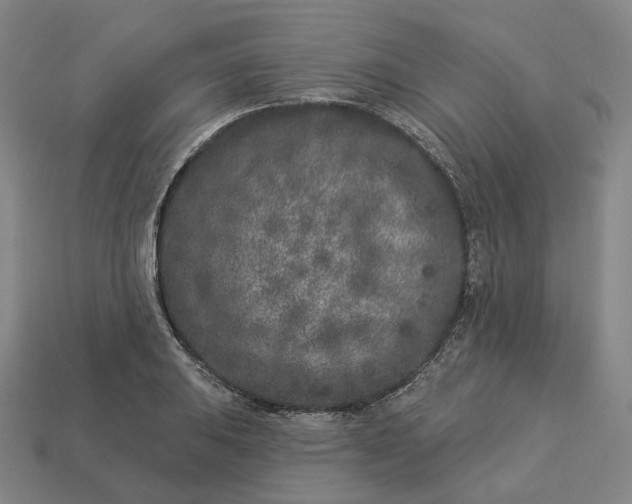 X0000112941031200909071050